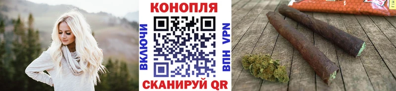 Каннабис сатива Новочебоксарск